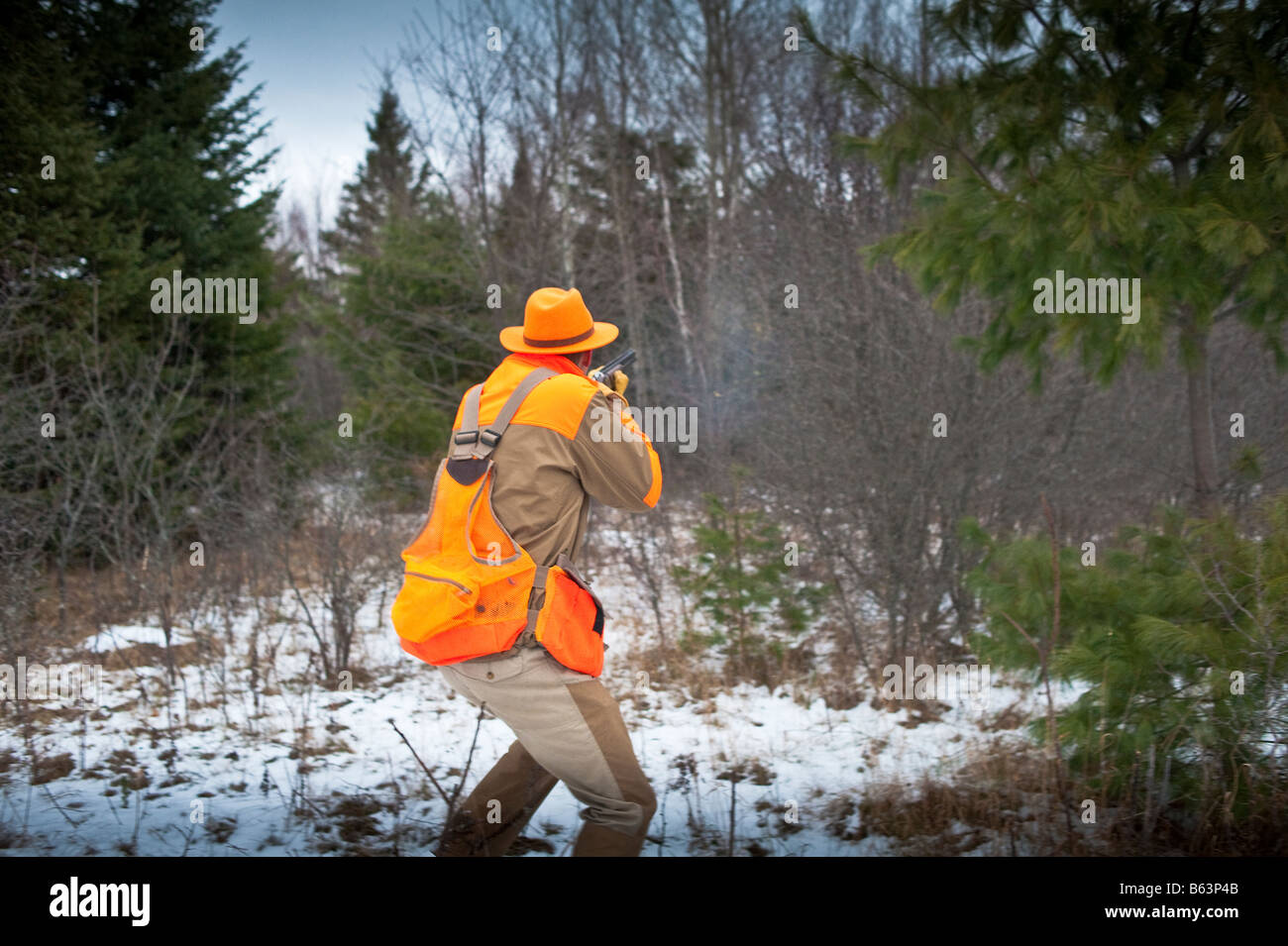 Grouse Hunting in New Brunswick late fall early winter with snow Stock