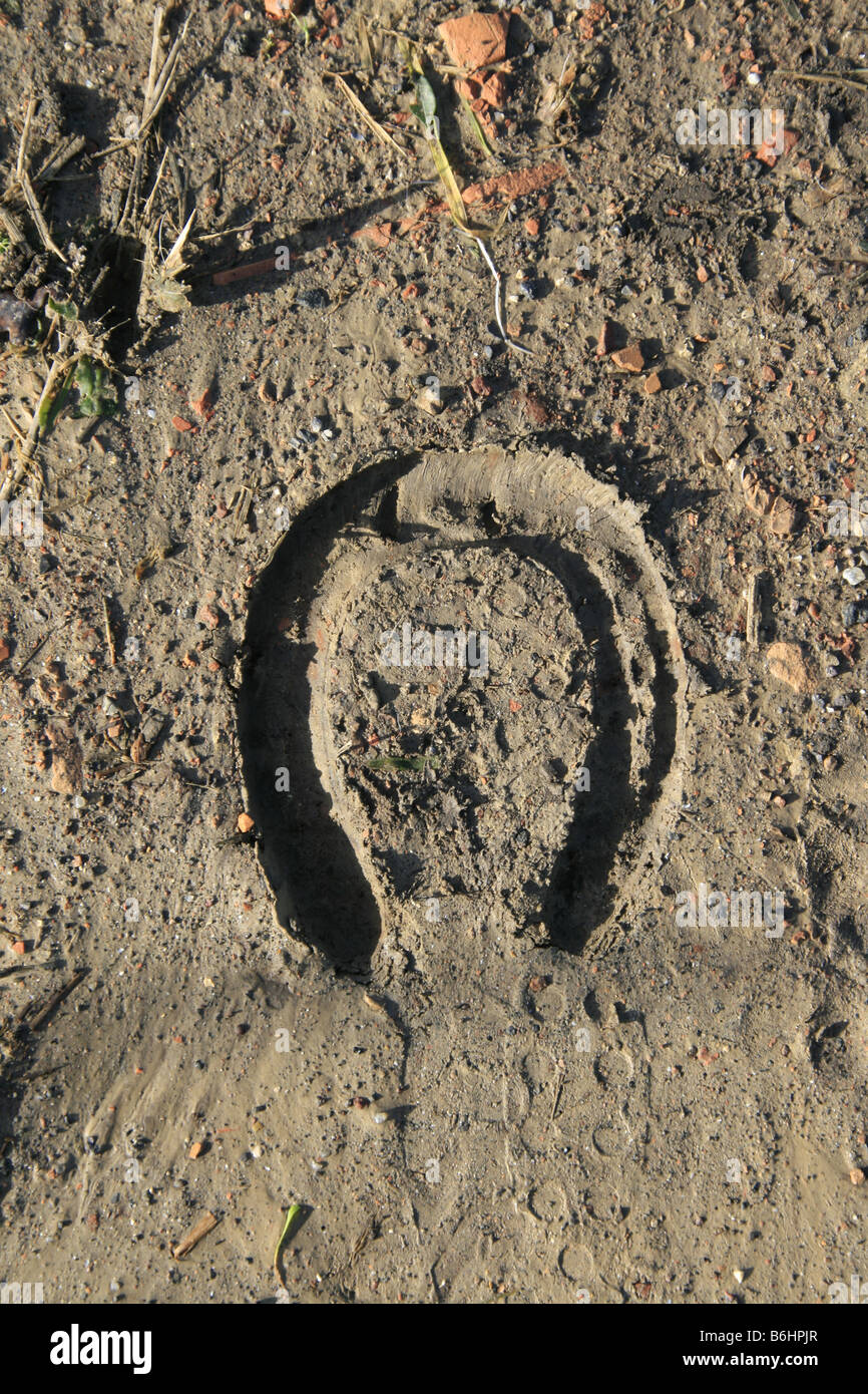 one horse shoe footprint in mud on track in countryside Stock Photo