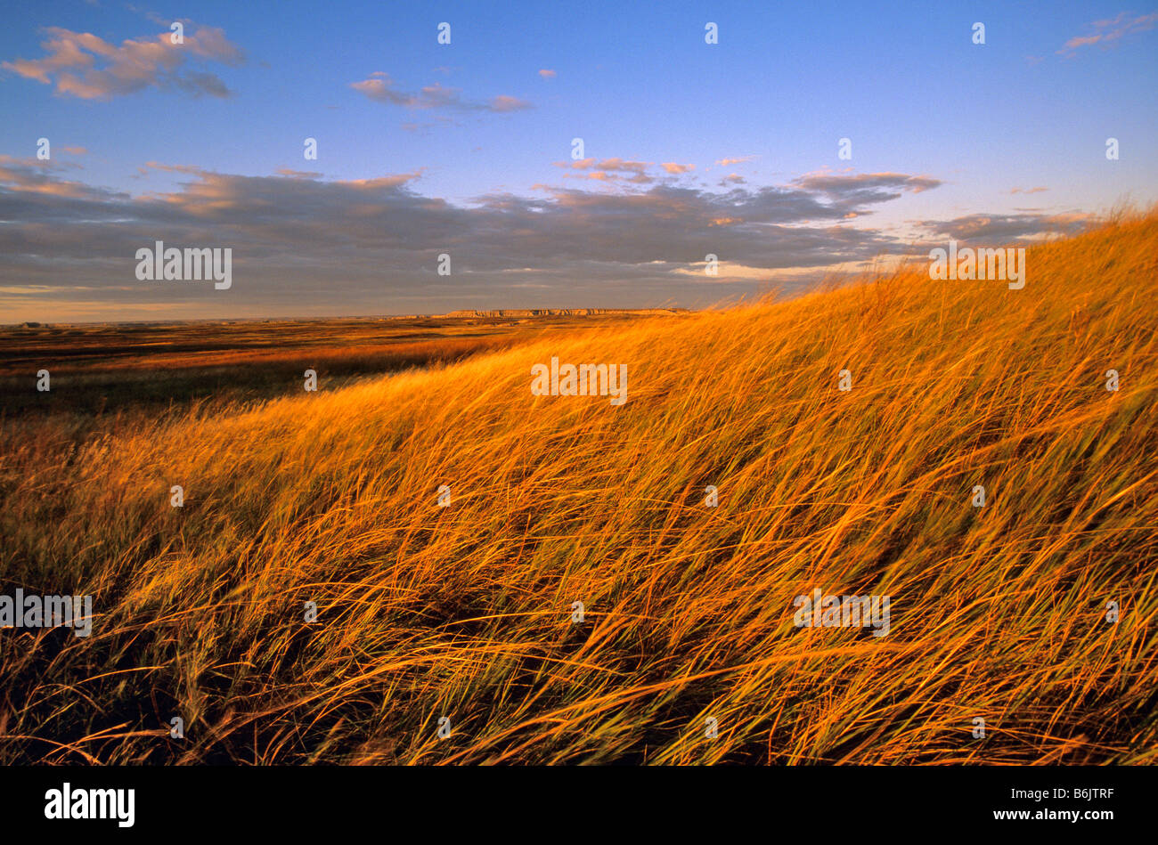 Buffalo Gap National Grasslands in South Dakota Stock Photo, Royalty