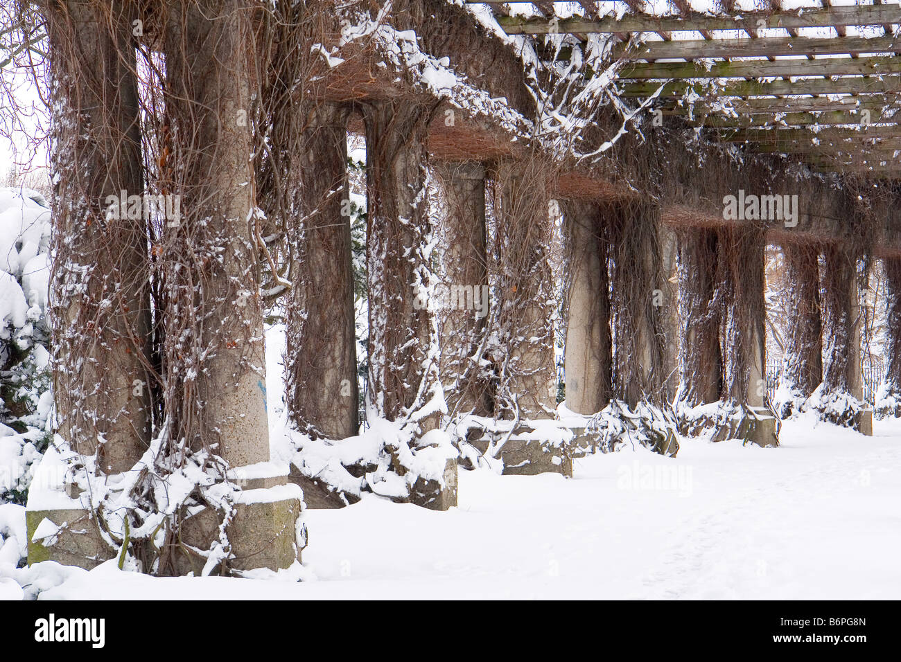 Pergola covered with snow in winter Wroclaw Poland Stock Photo, Royalty