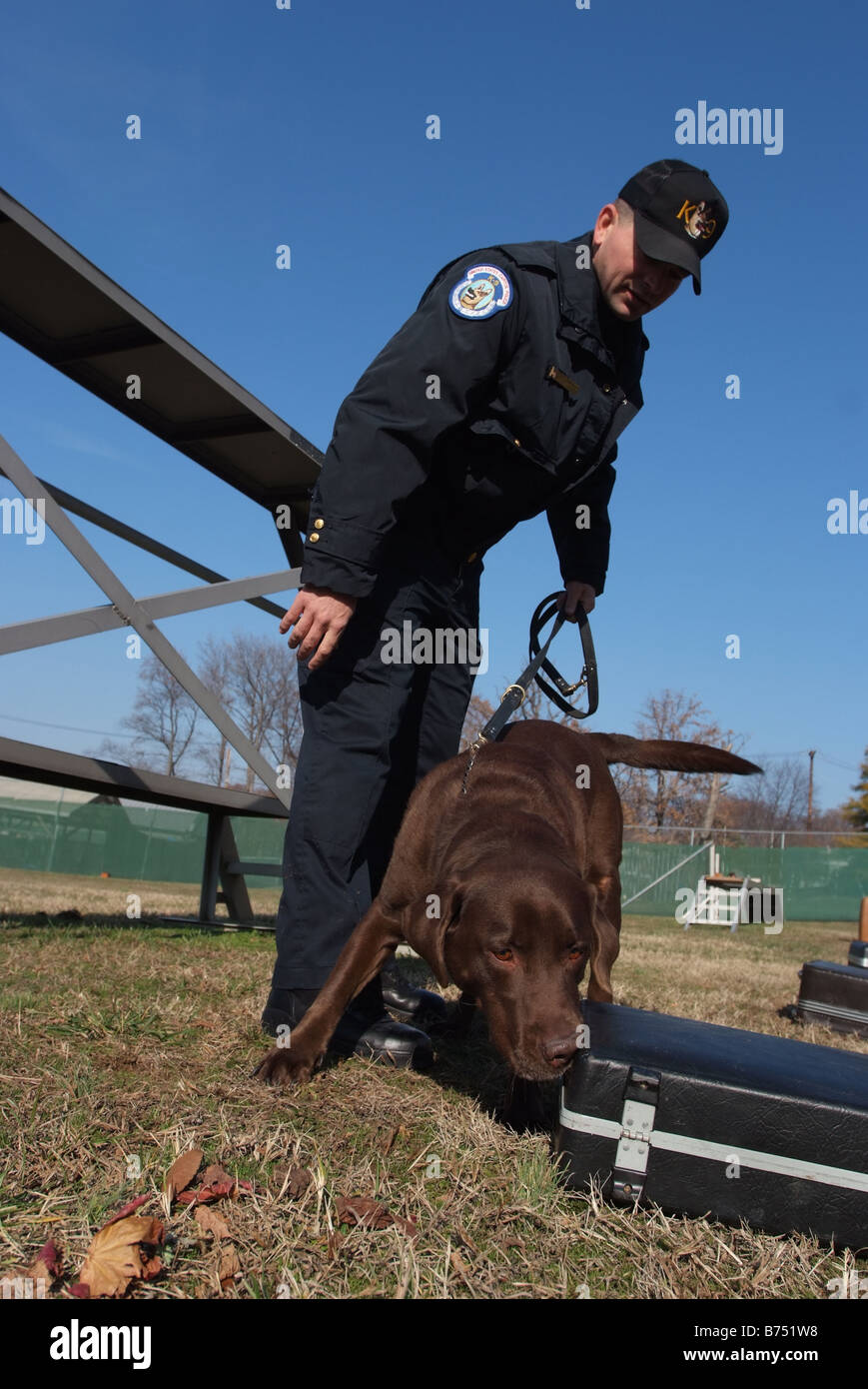 Bomb_sniffing_dog_is_being_trained_in_Wa