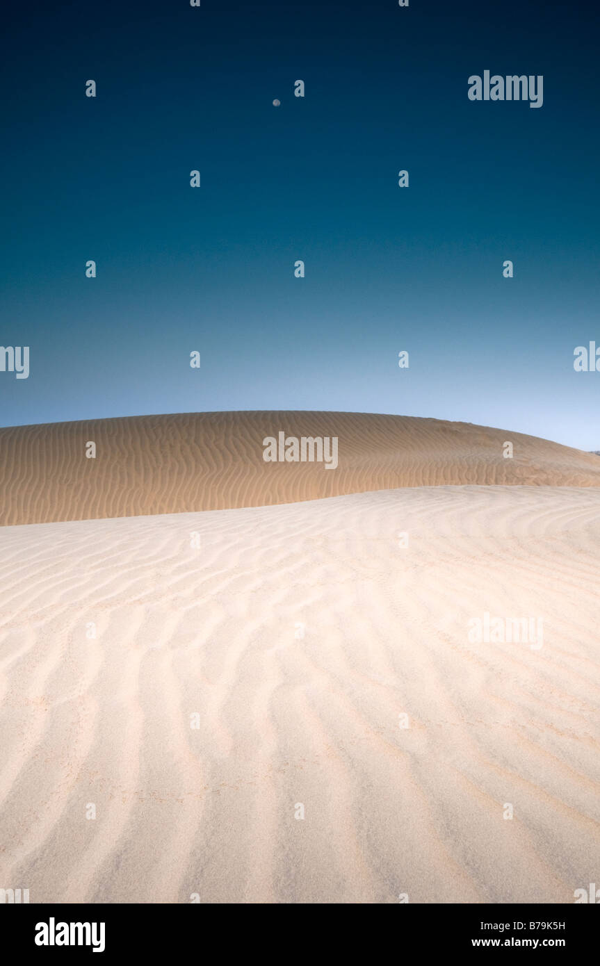 Sand Dunes Thar Desert Jaisalmer Rajasthan India Stock Photo Alamy