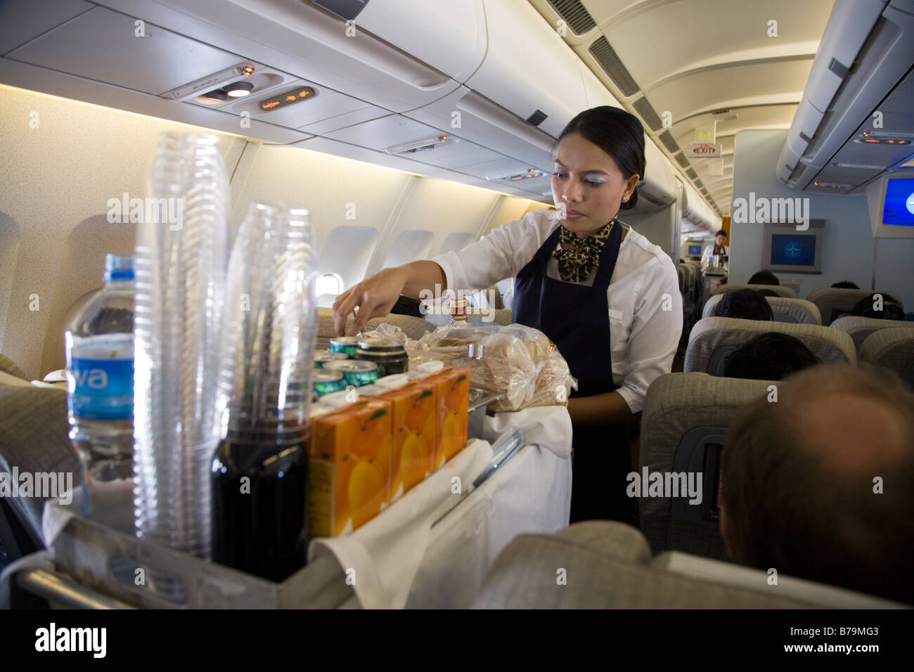 Cabin crew / air stewardess serves drinks to passengers from a Stock