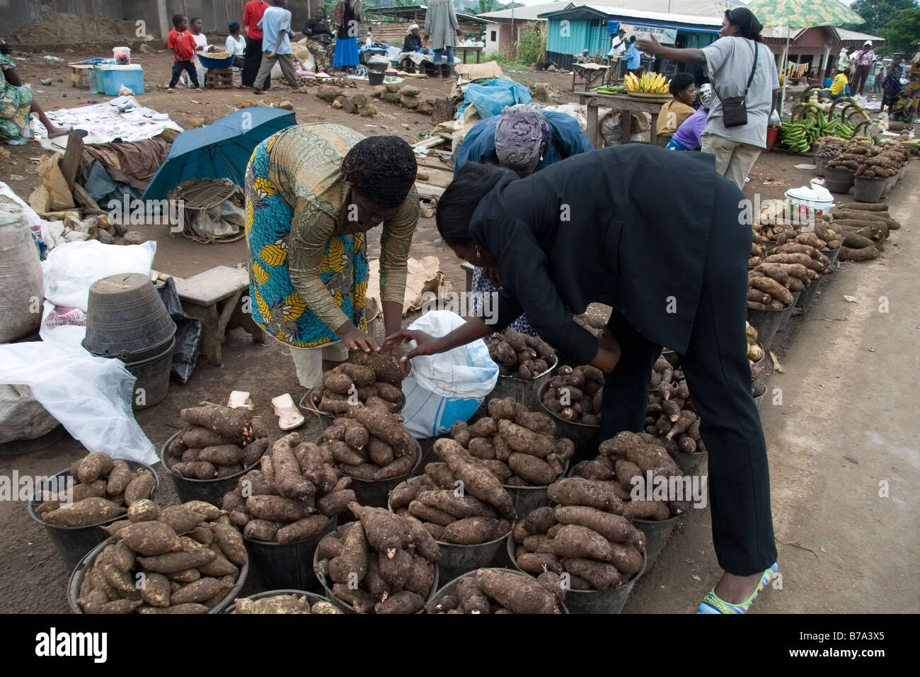 Roadside market with yams coco yams cassava and plantain on sale near