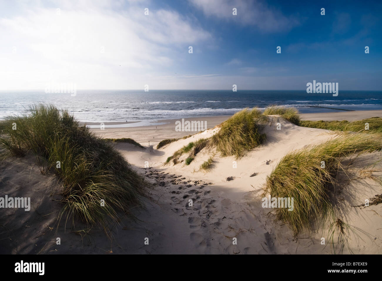 sand-dunes-and-ocean-in-the-netherlands-