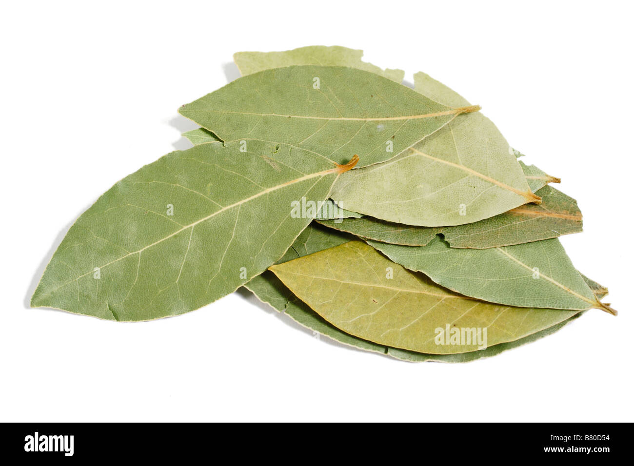 Cooking Ingredient. Dried Laurel Leaves Stock Photo, Royalty Free Image