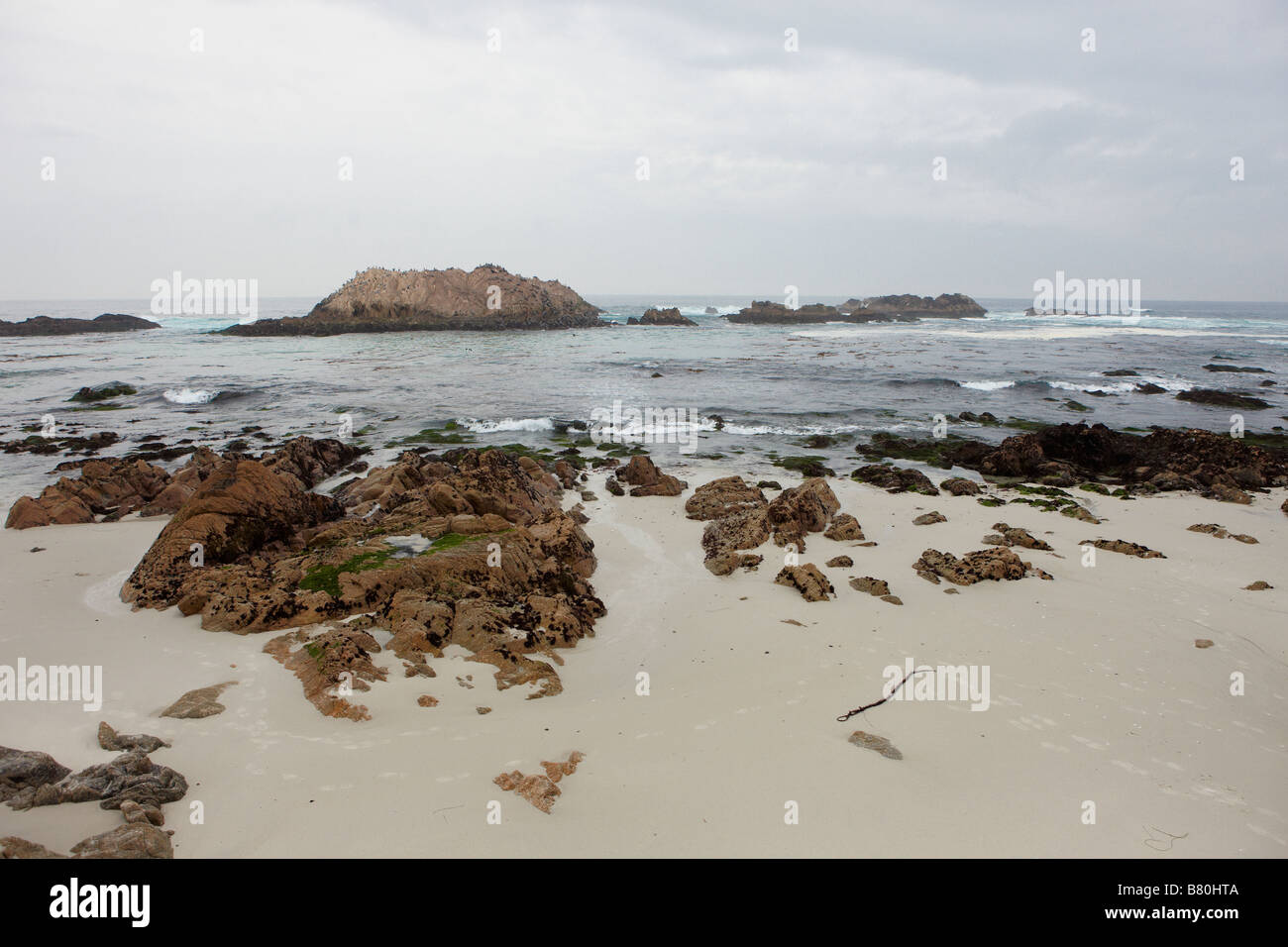 17 Mile Drive Pebble Beach Carmel By The Sea California | bird rock a landmark on the 17 mile drive at pebble 17 Mile Drive Pebble Beach Carmel By The Sea California | bird rock a landmark on the 17 mile drive at pebble