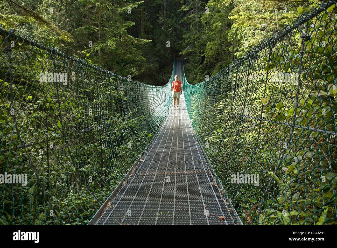 BRITISH COLUMBIA Bridge over Loss Creek along the Juan de Fuca Stock
