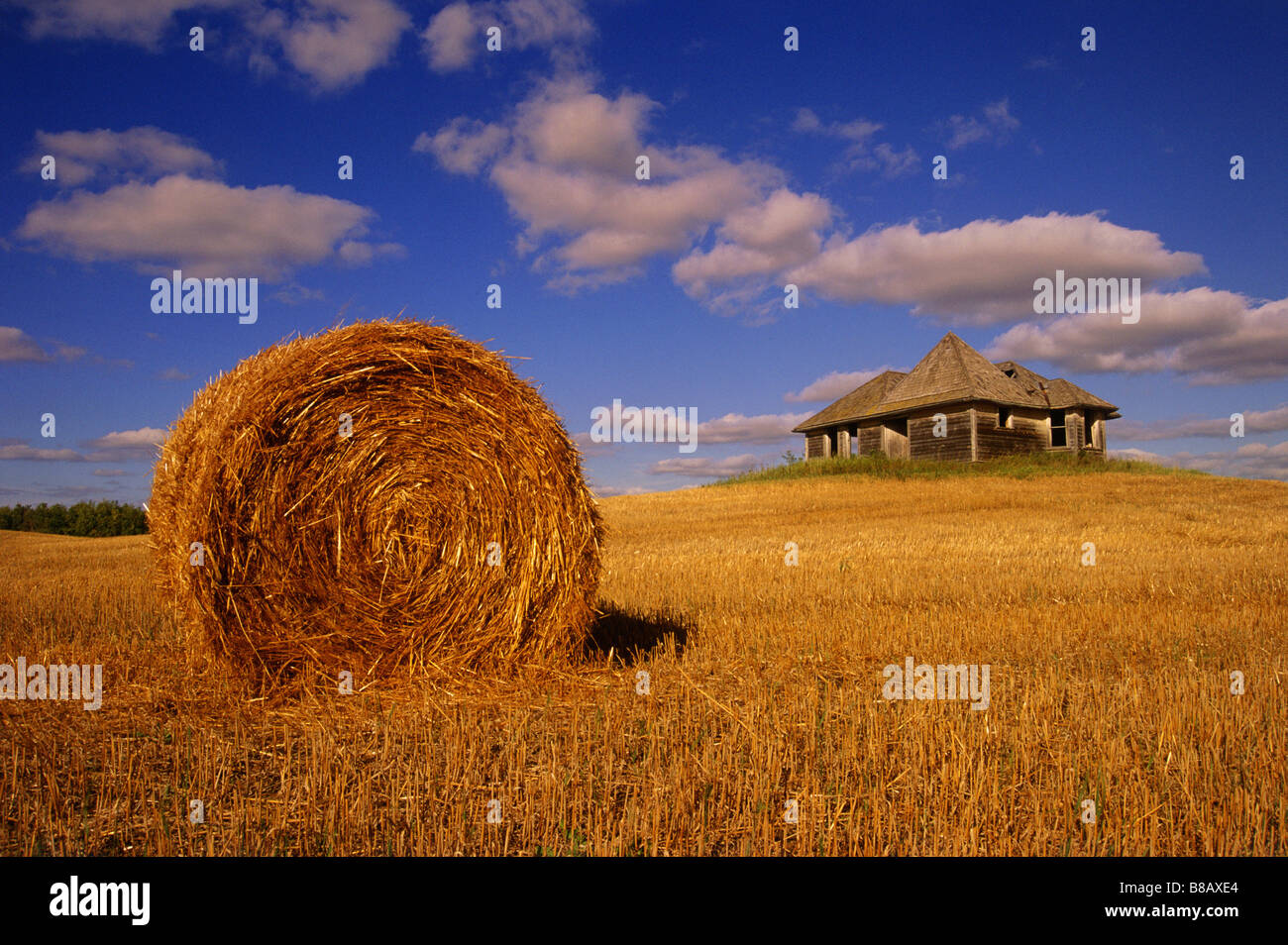 Hay Bale Old Farm House, Fairholme, Saskatchewan Stock Photo, Royalty