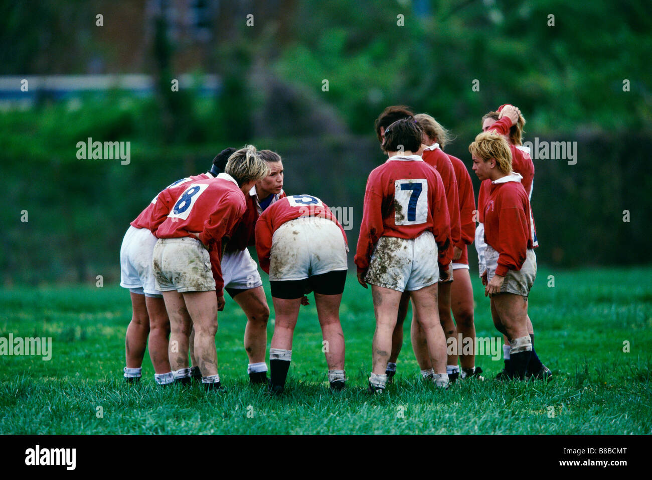 Women s rugby game action Stock Photo, Royalty Free Image 22379080 Alamy