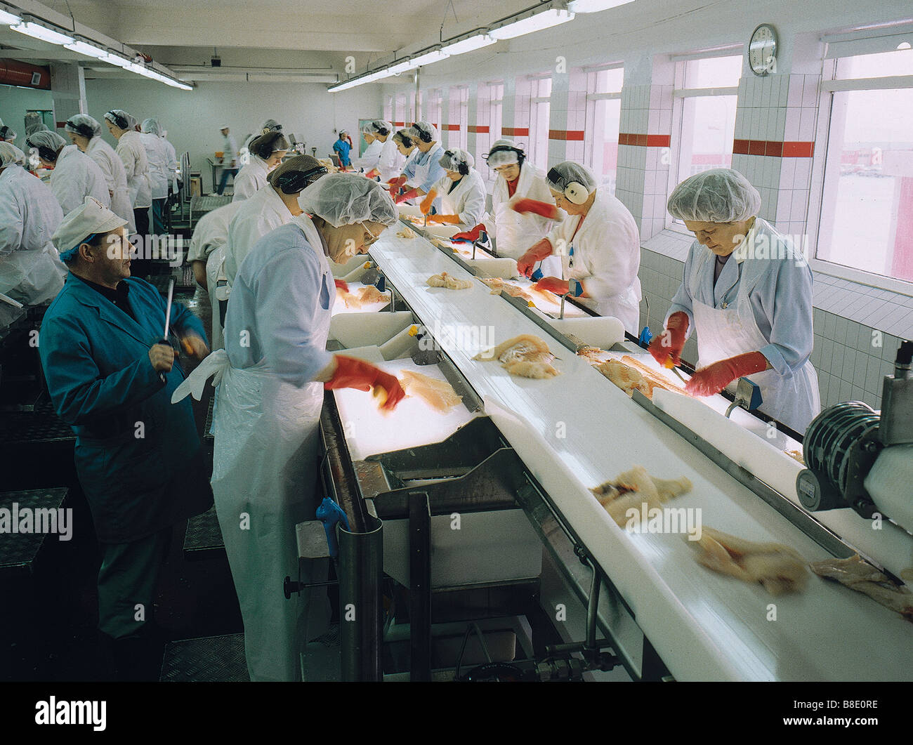 Fish Processing Facility, Arkranes, Iceland Stock Photo, Royalty Free