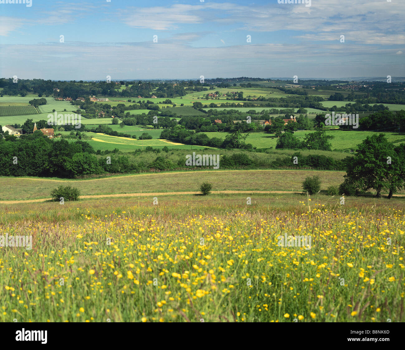English country landscape over Kent countryside from Goudhurst Stock