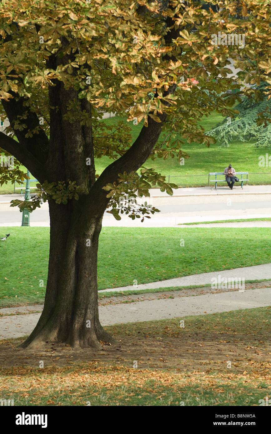 Park scene, person sitting on bench in background Stock Photo ... for Park Background With Bench
111ane Park scene, person sitting on bench in background Stock Photo ... for Park Background With Bench
111ane