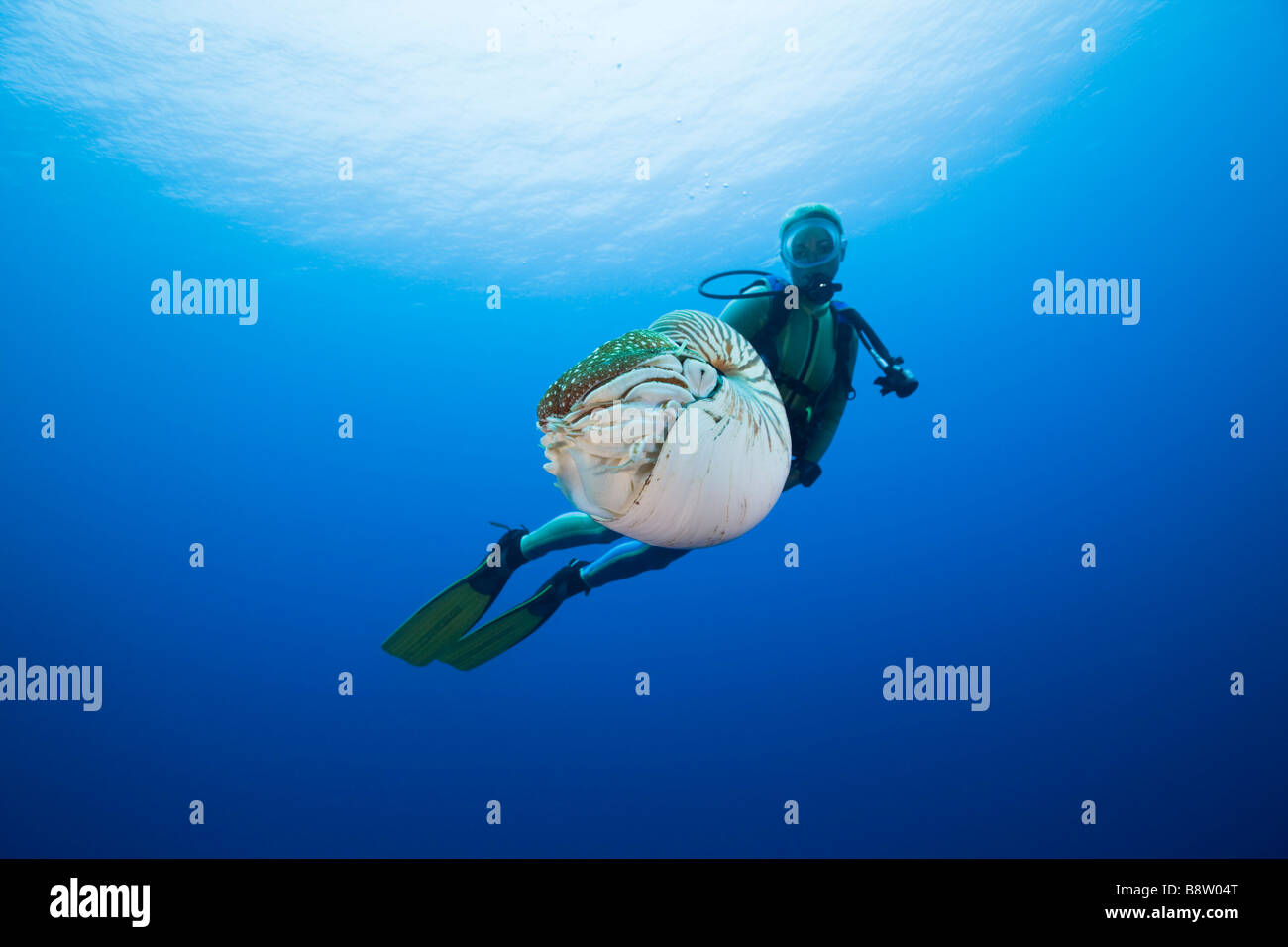Nautilus Pompilius Наутилус Помпилиус Лучшее Nautilus Pompilius Наутилус Помпилиус Лучшее