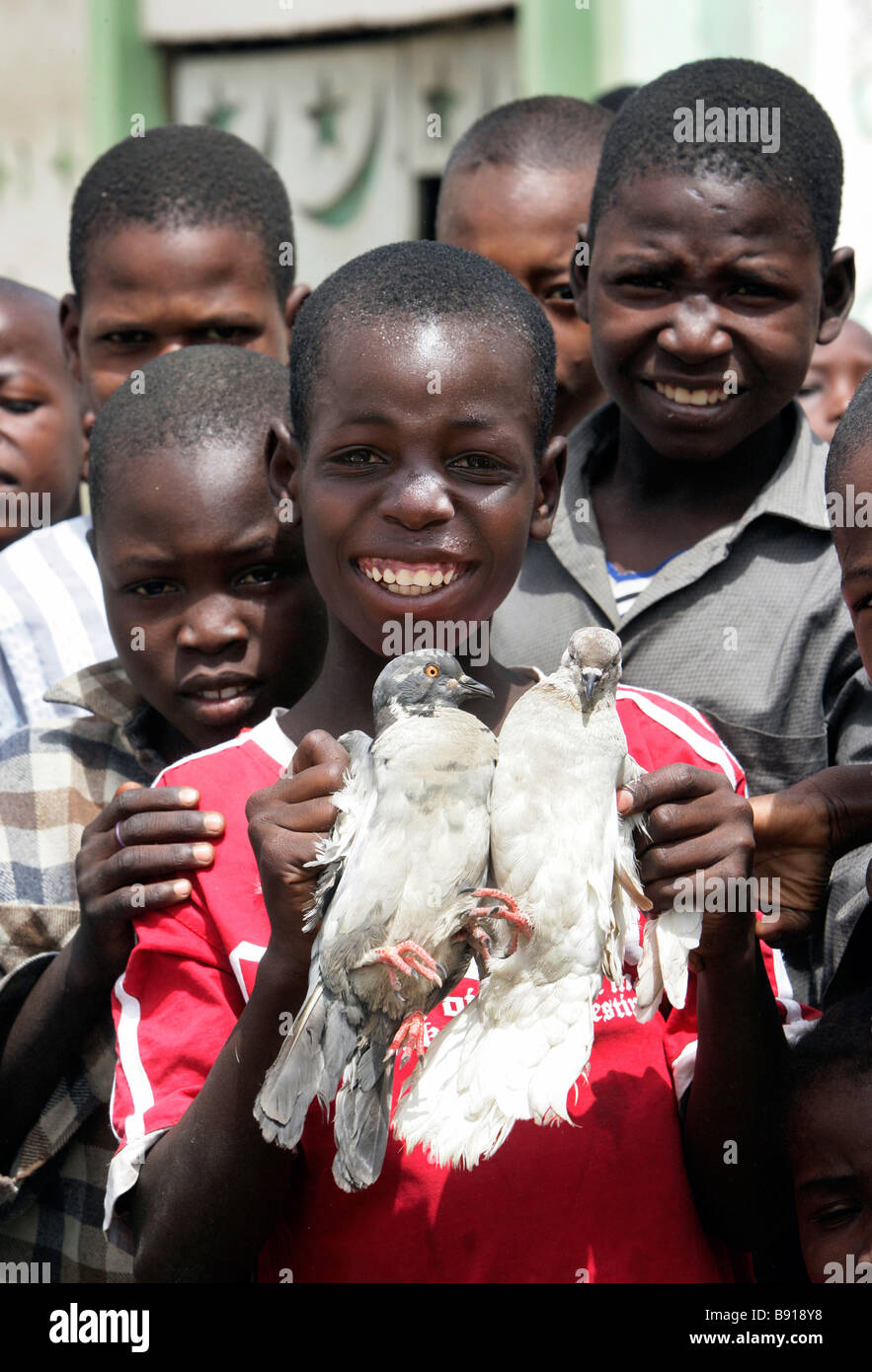 Nigeria boy with two white pigeons Stock Photo, Royalty Free Image 22771260 Alamy