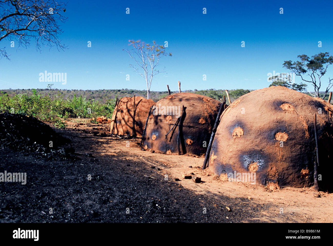 Charcoal production farm, Montes Claros, Minas Gerais, Brazil Stock