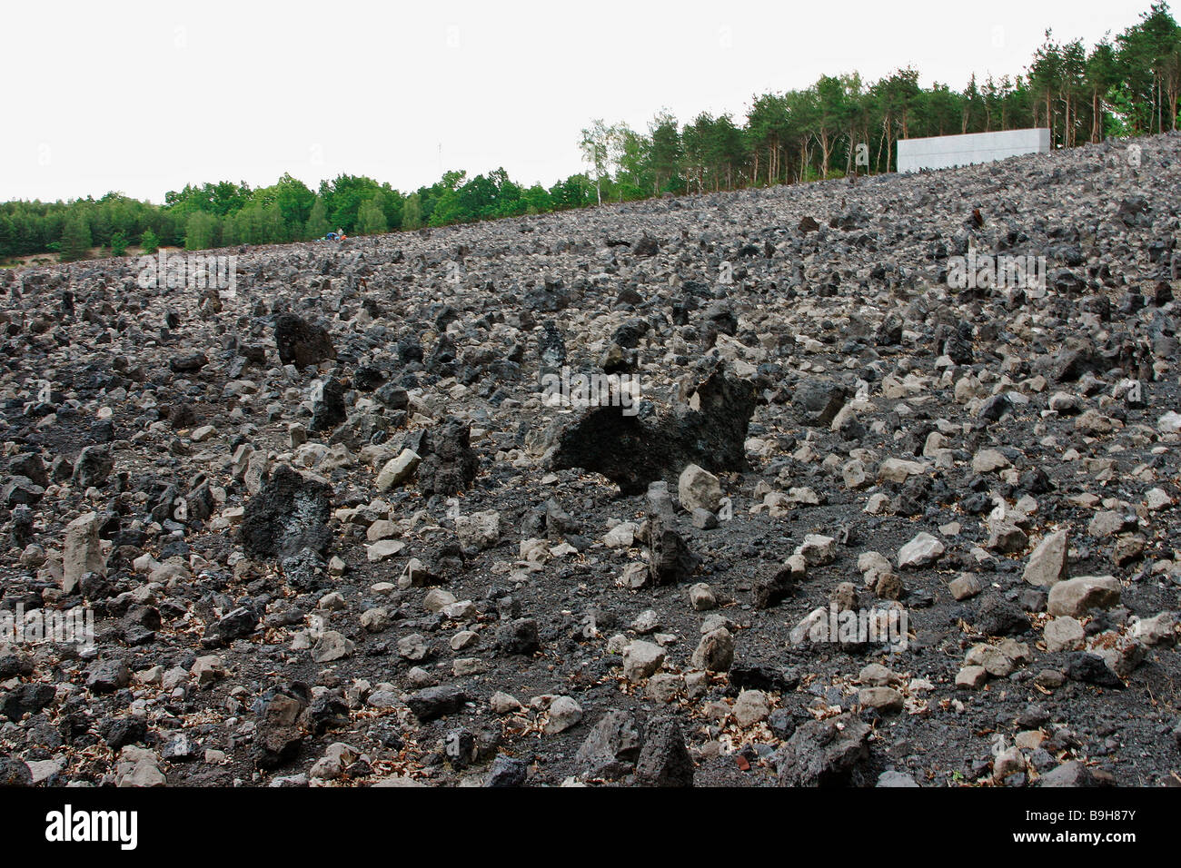 download chinas grain for green program a review of the largest ecological restoration and rural development program in the world