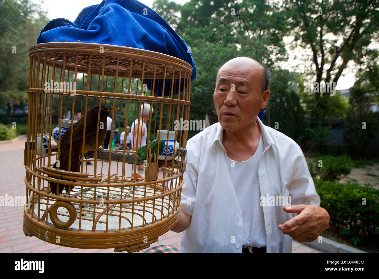 China, Beijing, Chinese man with a bird cage Stock Photo, Royalty Free Image 23187996 Alamy