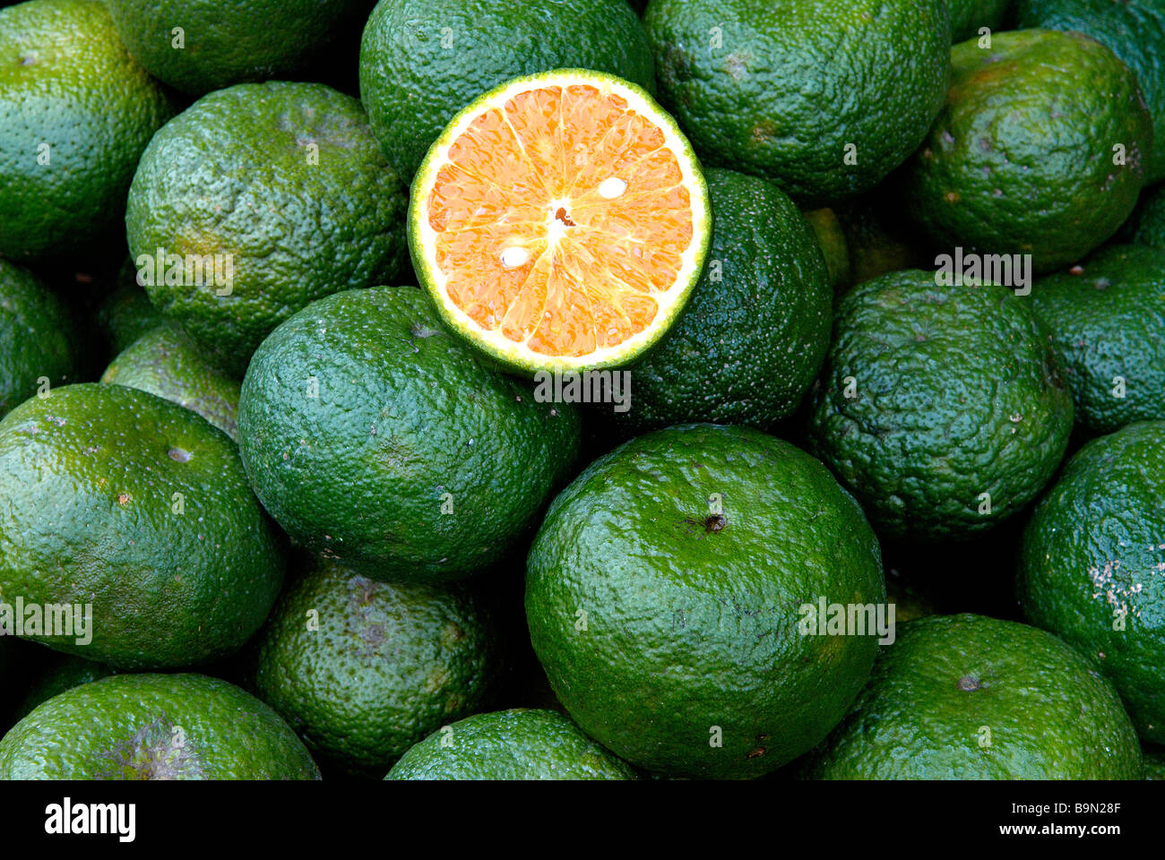Vietnam, Hanoi, market in the thirtysix guild streets, green oranges