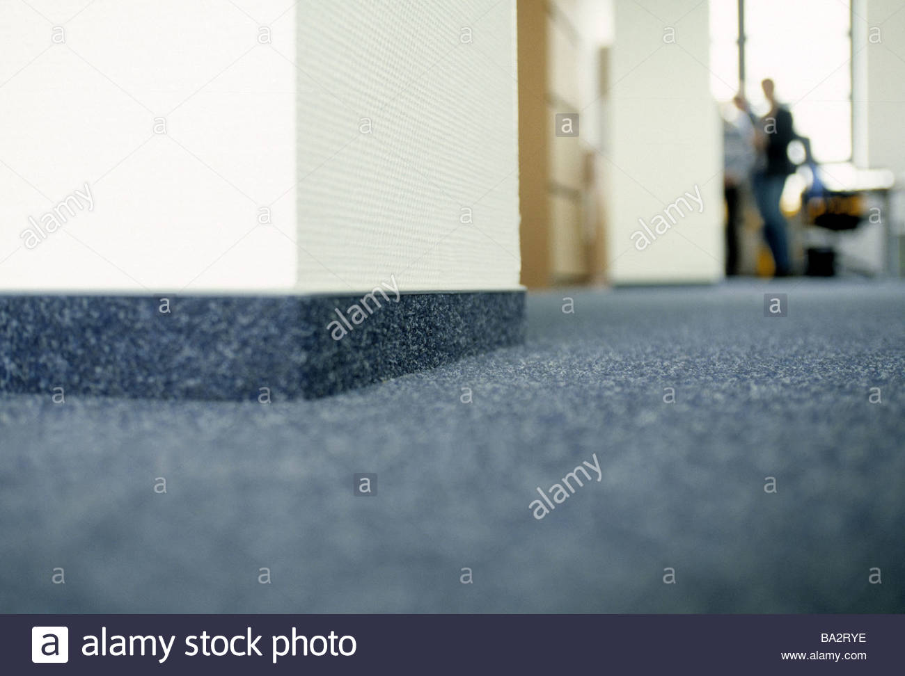 Office Carpet Floor Office Carpet Floor