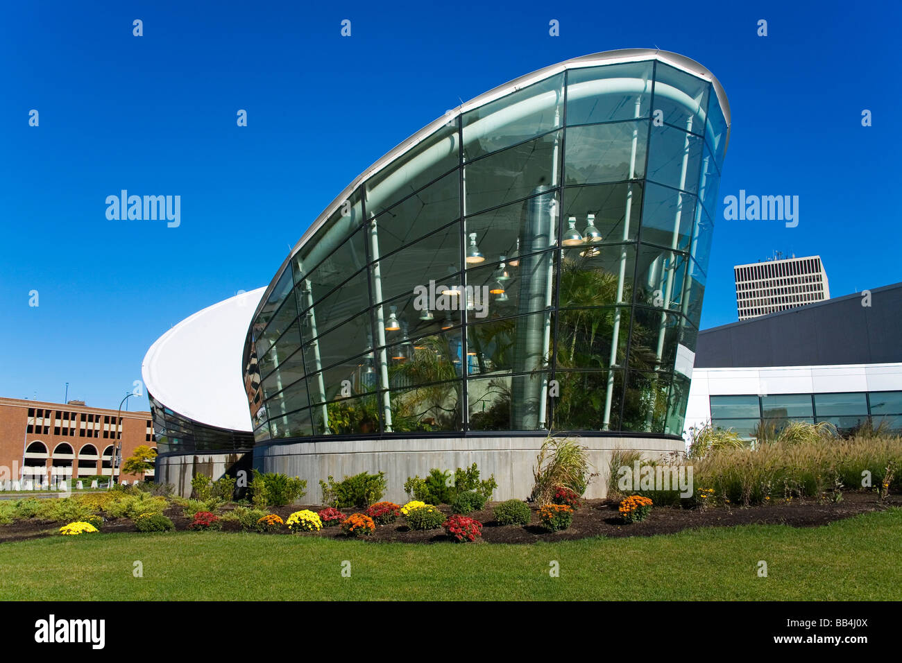 rochester strong museum coupons