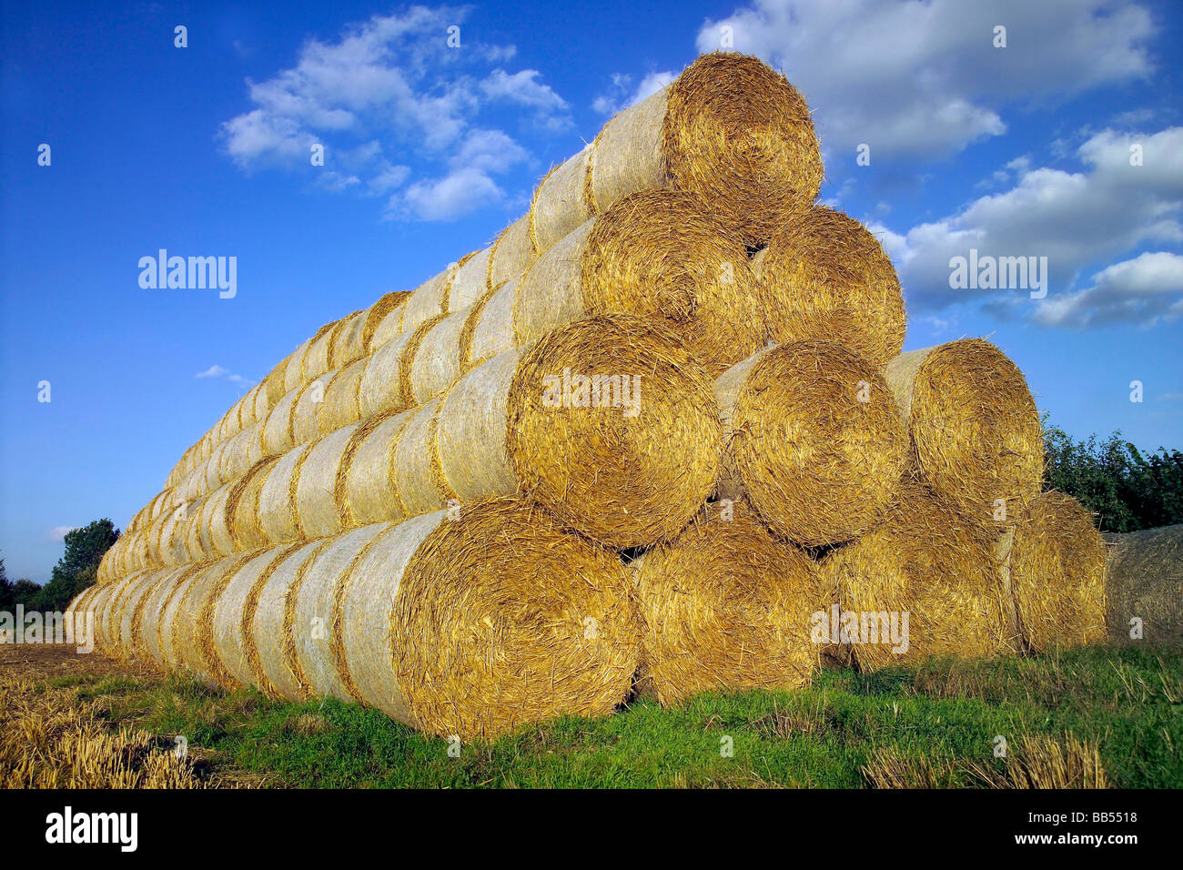 Round bales of hay stacked in field blue sky behind Stock Photo
