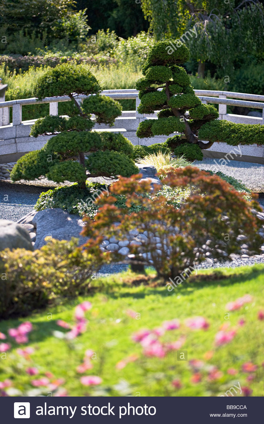japanese dry garden stone bridge evergreen trees pruning shaping artificial landscape gardening culture duesseldorf europe - Japanese Garden Stone Bridge japanese dry garden stone bridge evergreen trees pruning shaping artificial landscape gardening culture duesseldorf europe - Japanese Garden Stone Bridge