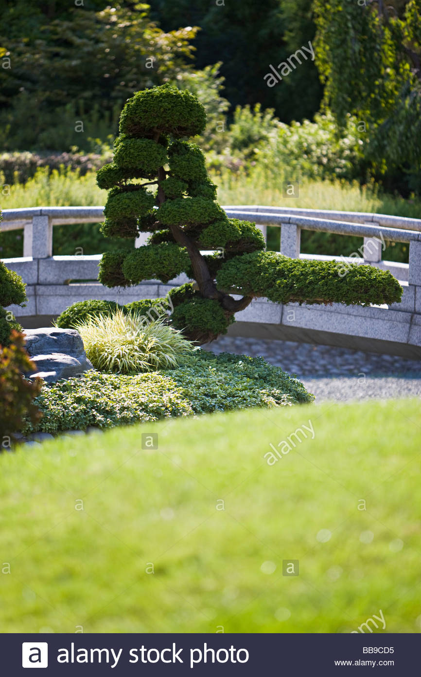 japanese dry garden stone bridge evergreen trees pruning shaping artificial landscape gardening culture duesseldorf europe - Japanese Garden Stone Bridge japanese dry garden stone bridge evergreen trees pruning shaping artificial landscape gardening culture duesseldorf europe - Japanese Garden Stone Bridge