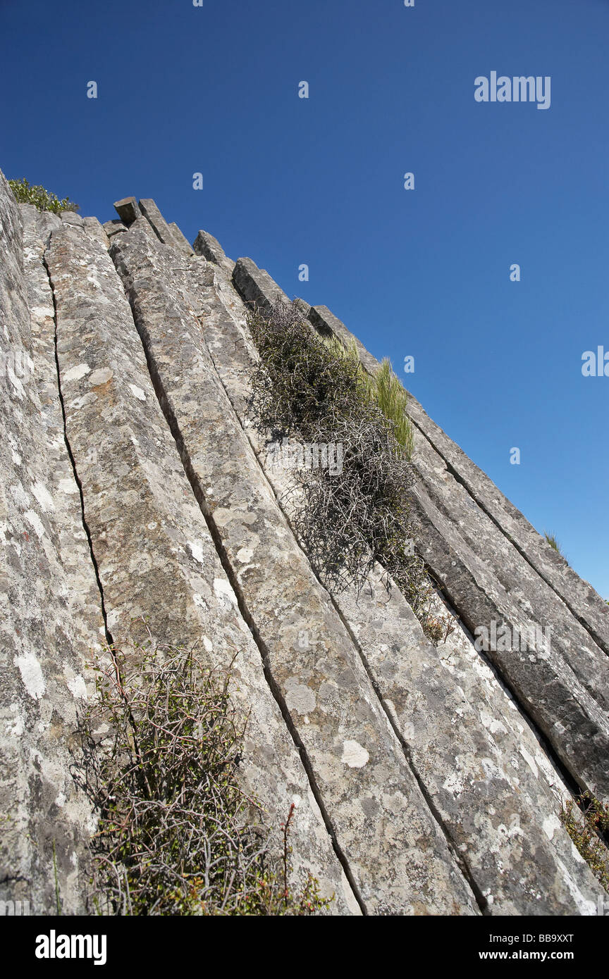 The Organ Pipes volcanic basalt rock columns Mt Cargill Dunedin Otago