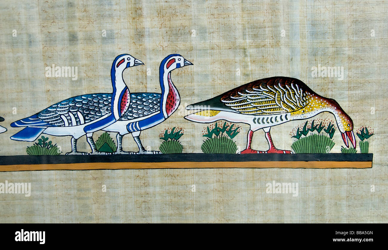 where can i buy papyrus paper Ancient egyptians discovered how to make paper from the stems of plant as early as 3000 bc egyptian papyrus was used as we use paper today buy papyrus where can i buy papyrus artworks almost all egyptian souvenir shops sell papyrus artworks. where can i buy papyrus paper Ancient egyptians discovered how to make paper from the stems of plant as early as 3000 bc egyptian papyrus was used as we use paper today buy papyrus where can i buy papyrus artworks almost all egyptian souvenir shops sell papyrus artworks.