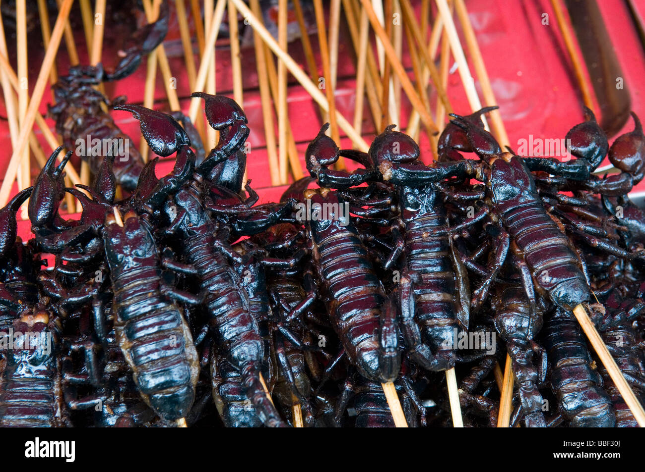 grilled-scorpians-on-skewers-served-as-s