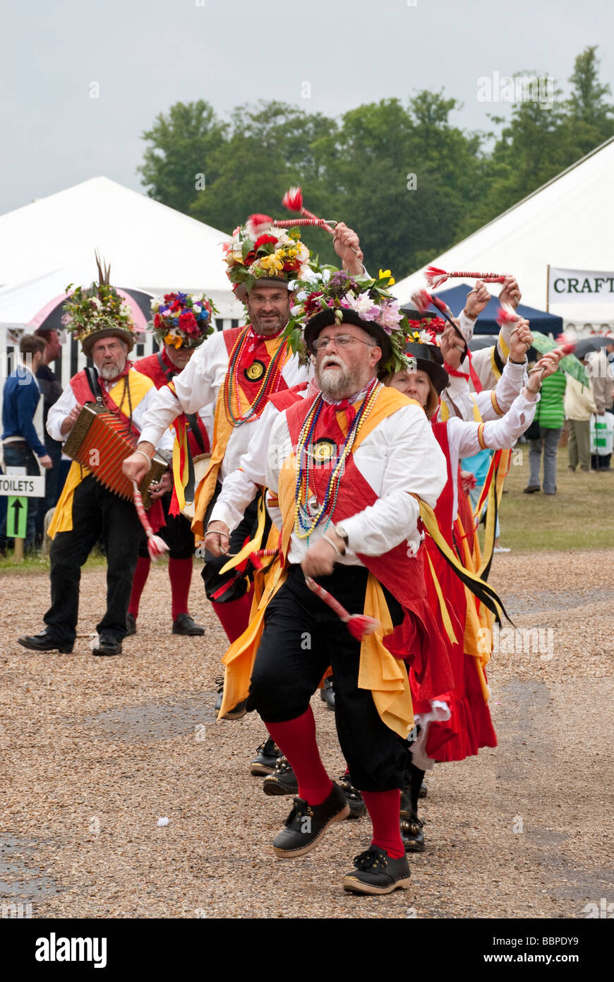 morris dancing clogs for sale