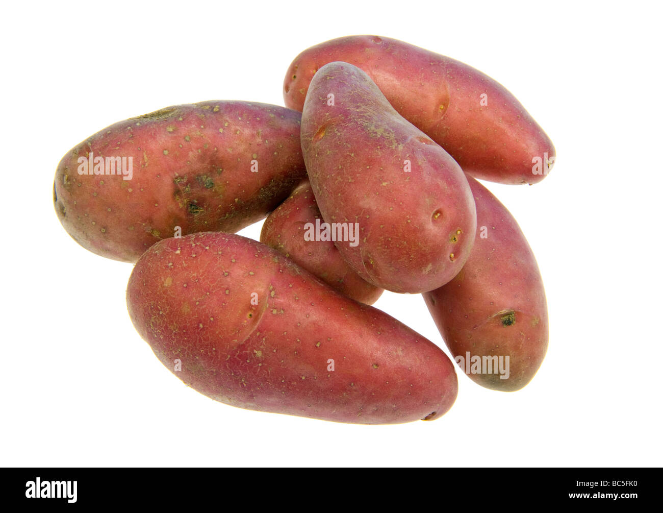 red potato french new sort of potatoes of france FOOD curious Stockfoto
