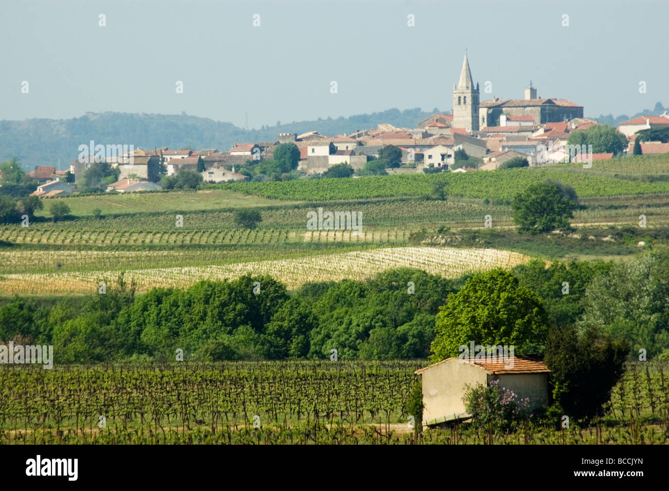 Murviel les Beziers, Herault, Languedoc, France Stock Photo, Royalty