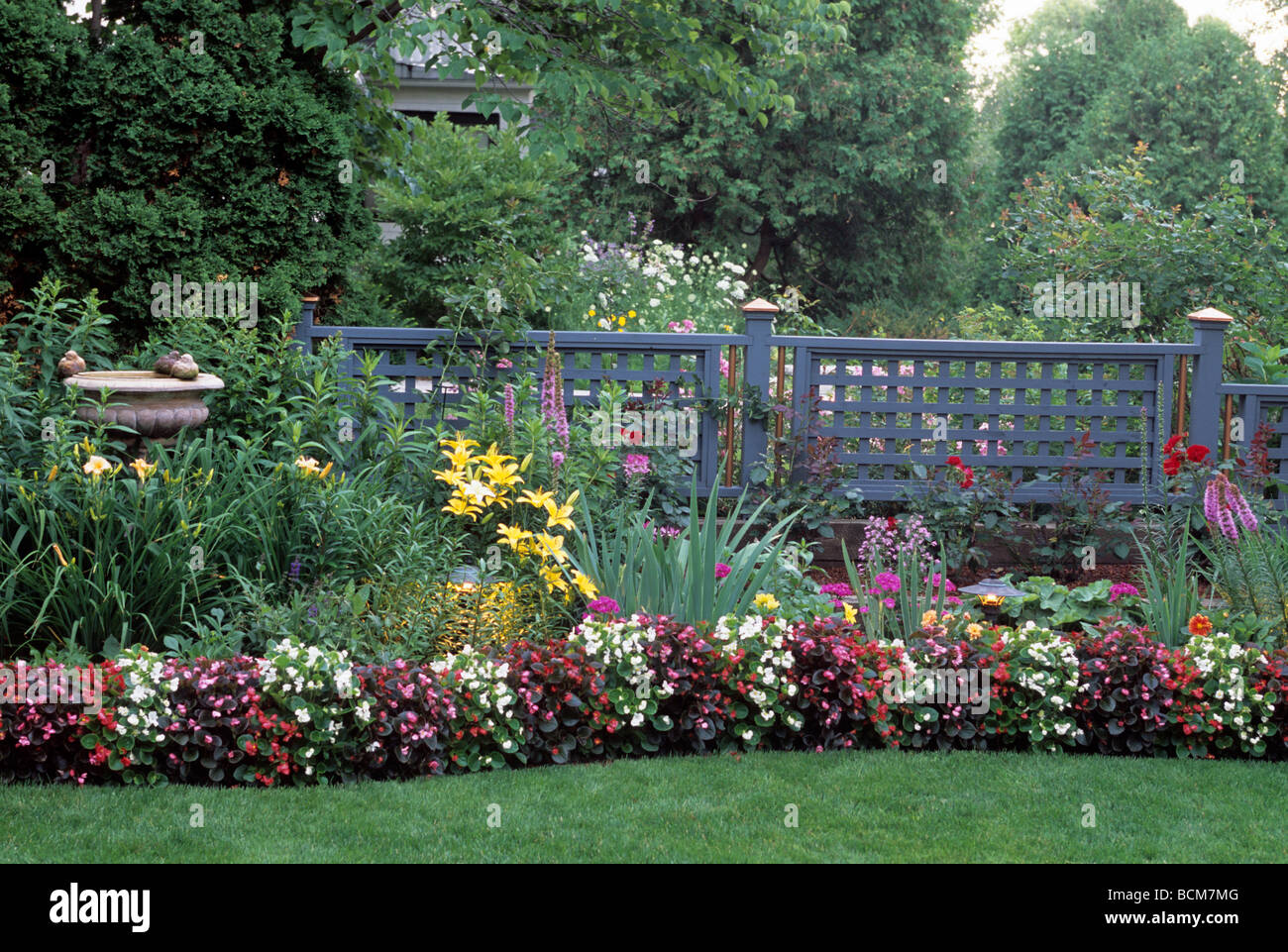 BORDER GARDEN ALONG FENCE INCLUDES BEGONIAS, DAYLILIES, IRIS AND Stock