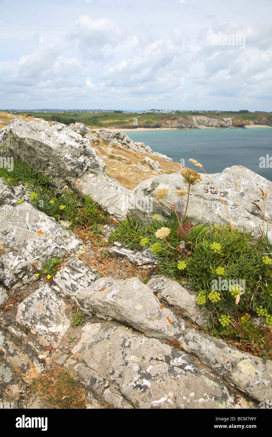 France Brittany Bretagne Finistere Rocks At Pointe De Penhir Stock