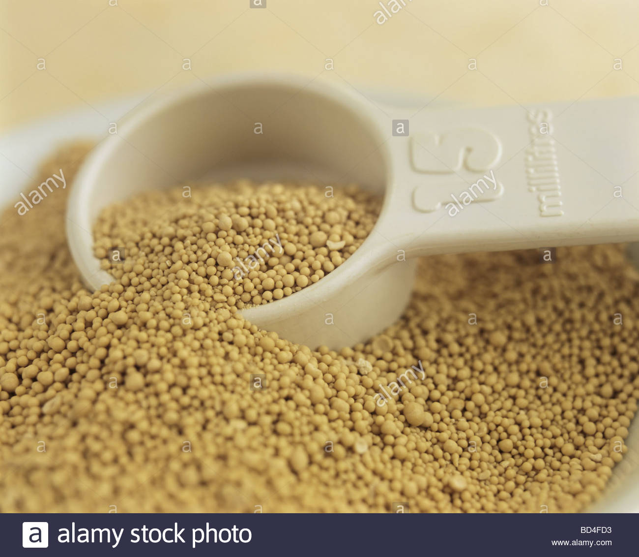 Dried yeast with a measuring spoon Stock Photo, Royalty Free Image