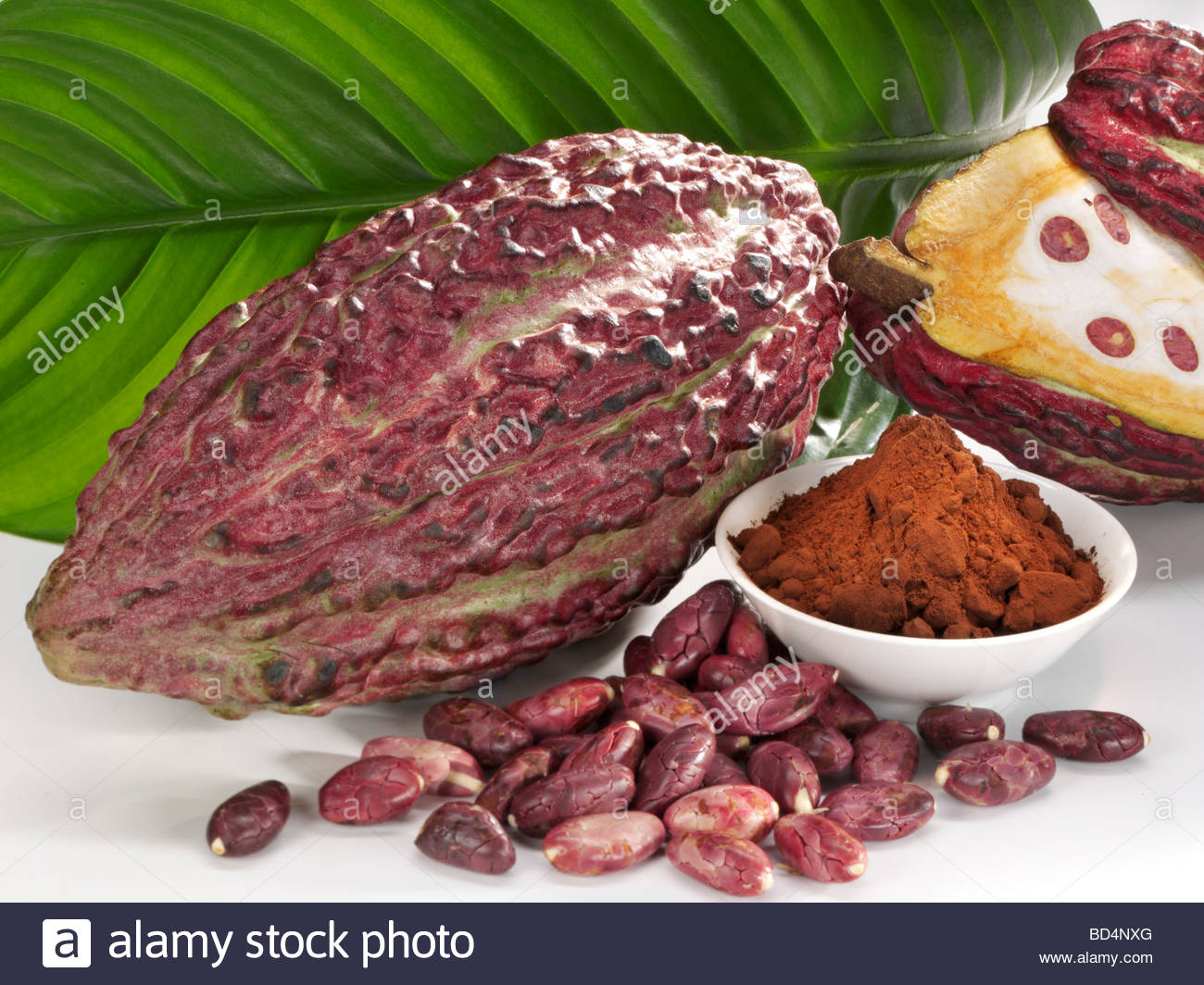 How to Ferment Fruit How to Ferment Fruit new images How to Ferment Fruit How to Ferment Fruit new pics