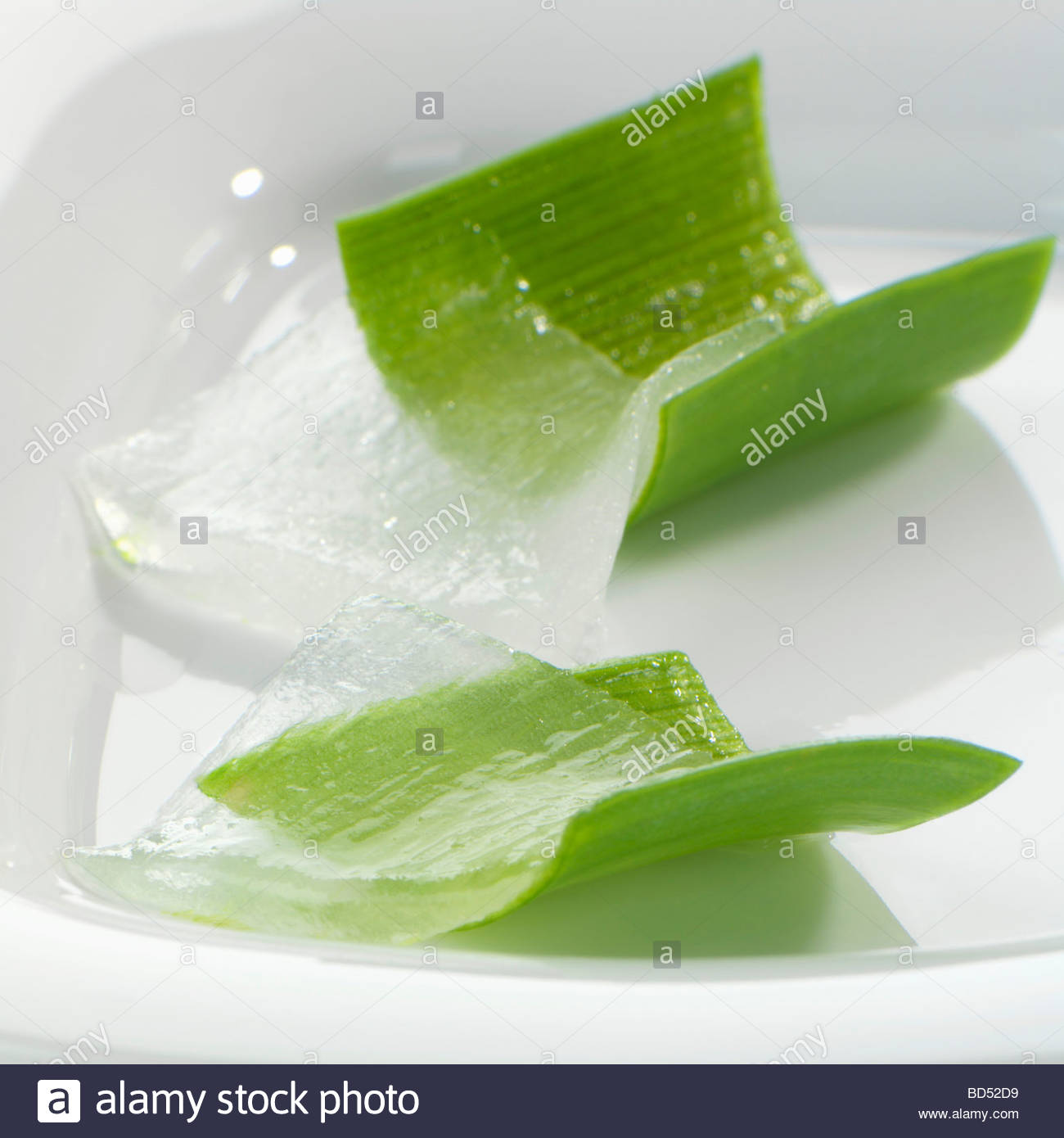 aloe vera leaves outer leaf rind and aloe vera gel stock aloe vera leaves outer leaf rind and aloe vera gel stock