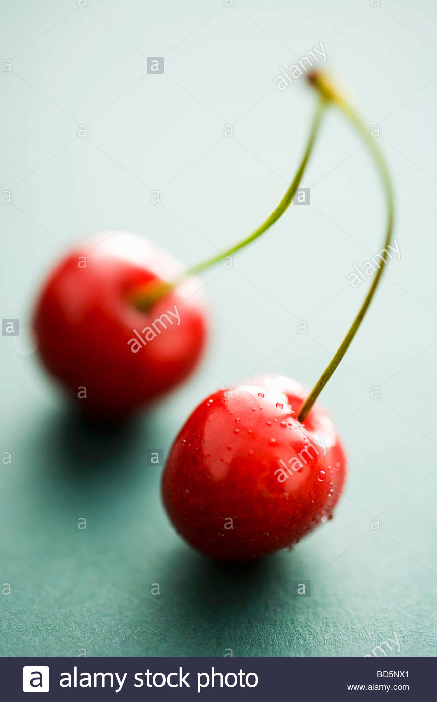 A pair of cherries Stock Photo, Royalty Free Image 25327849 Alamy