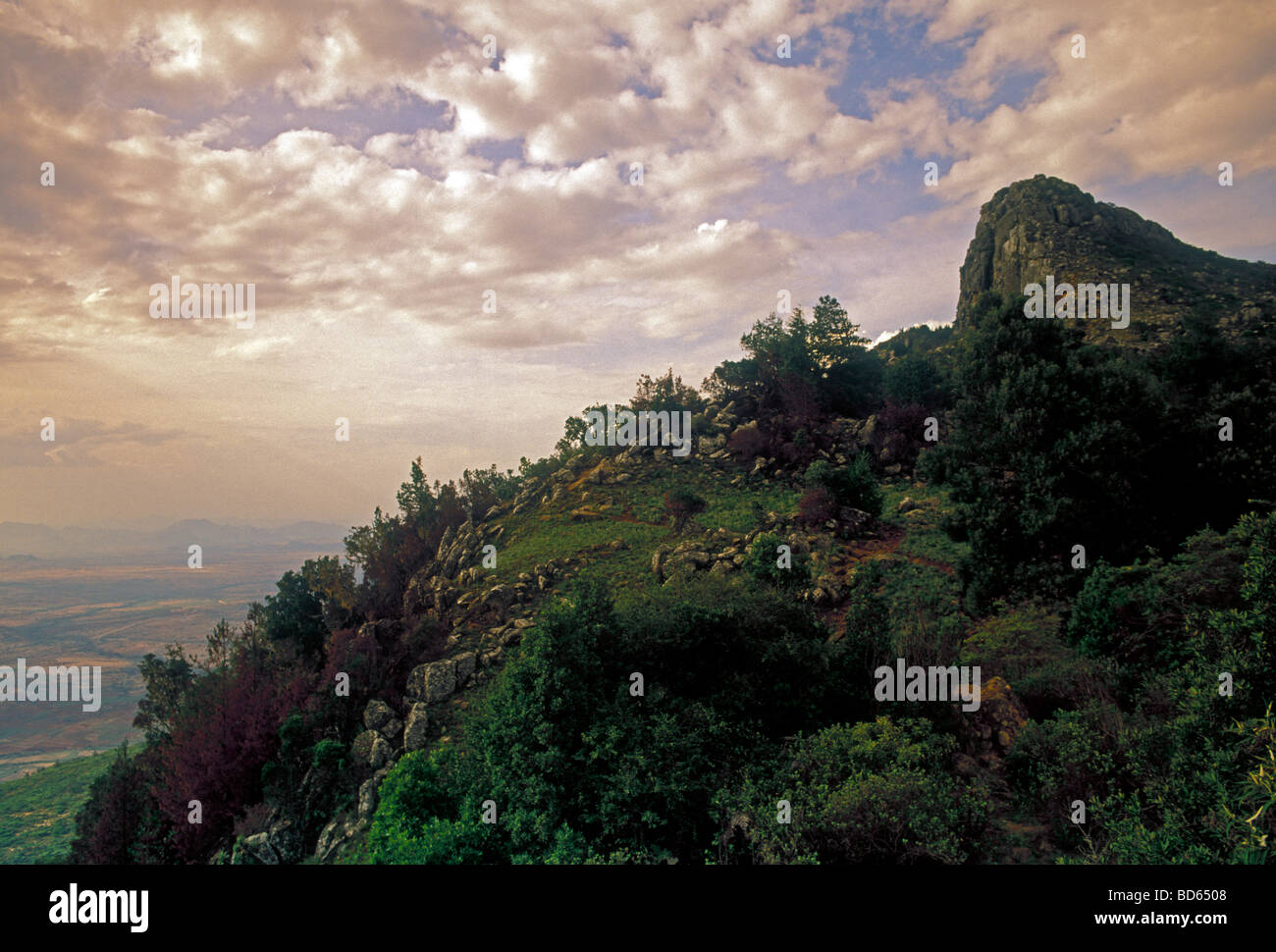 Nyangani Mountains, Nyanga National Park, Nyanga District, Manicaland