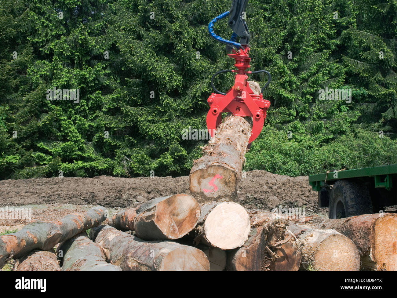 log picker machine lifting logs onto truck Stock Photo, Royalty Free