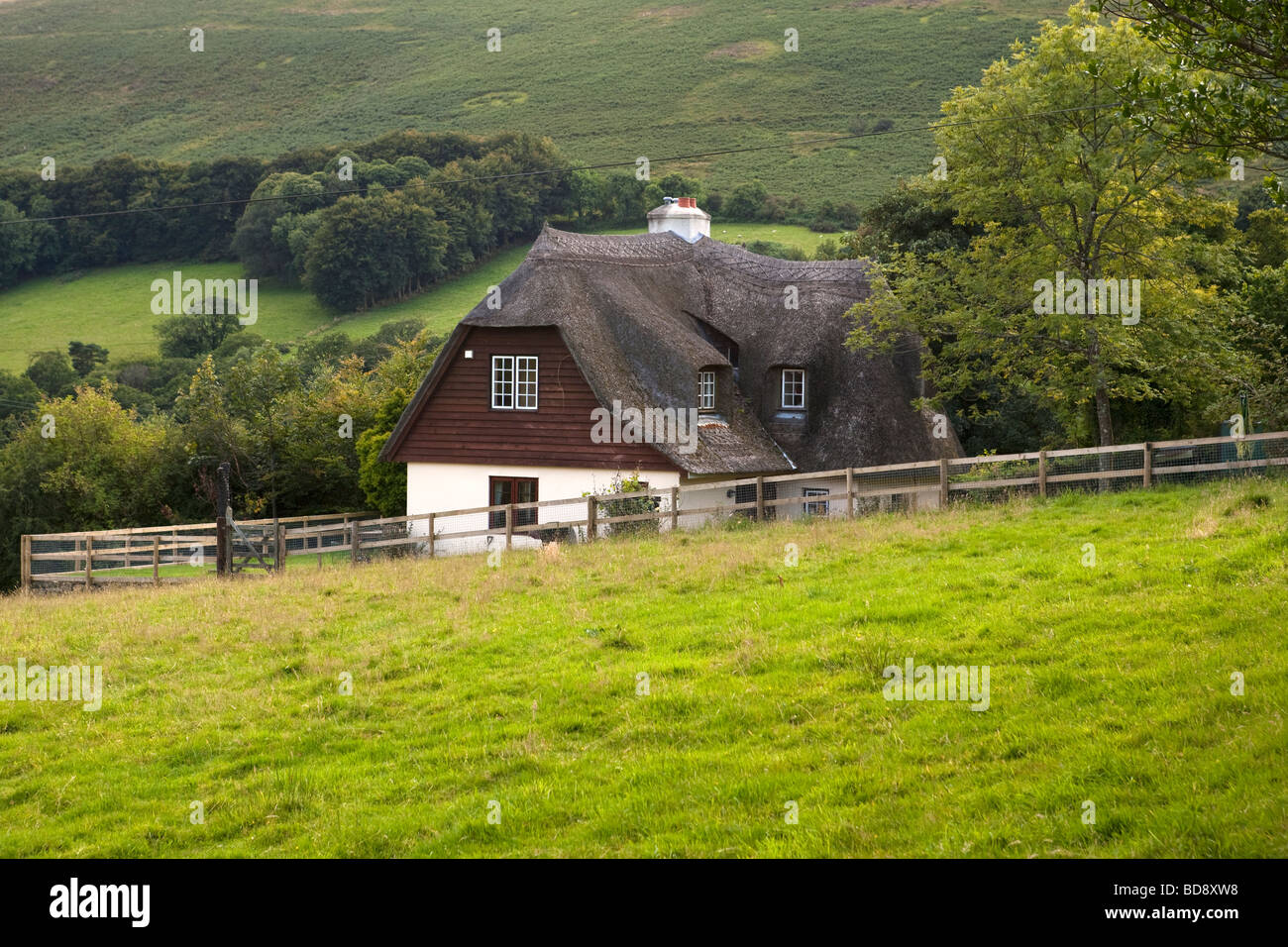 Cottage near in the Moor. Dartmoor National Park. Devon Stock