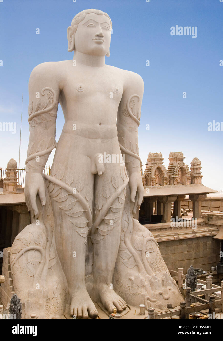 Low angle view of a statue, Gomateshwara, Shravanabelagola, Hassan