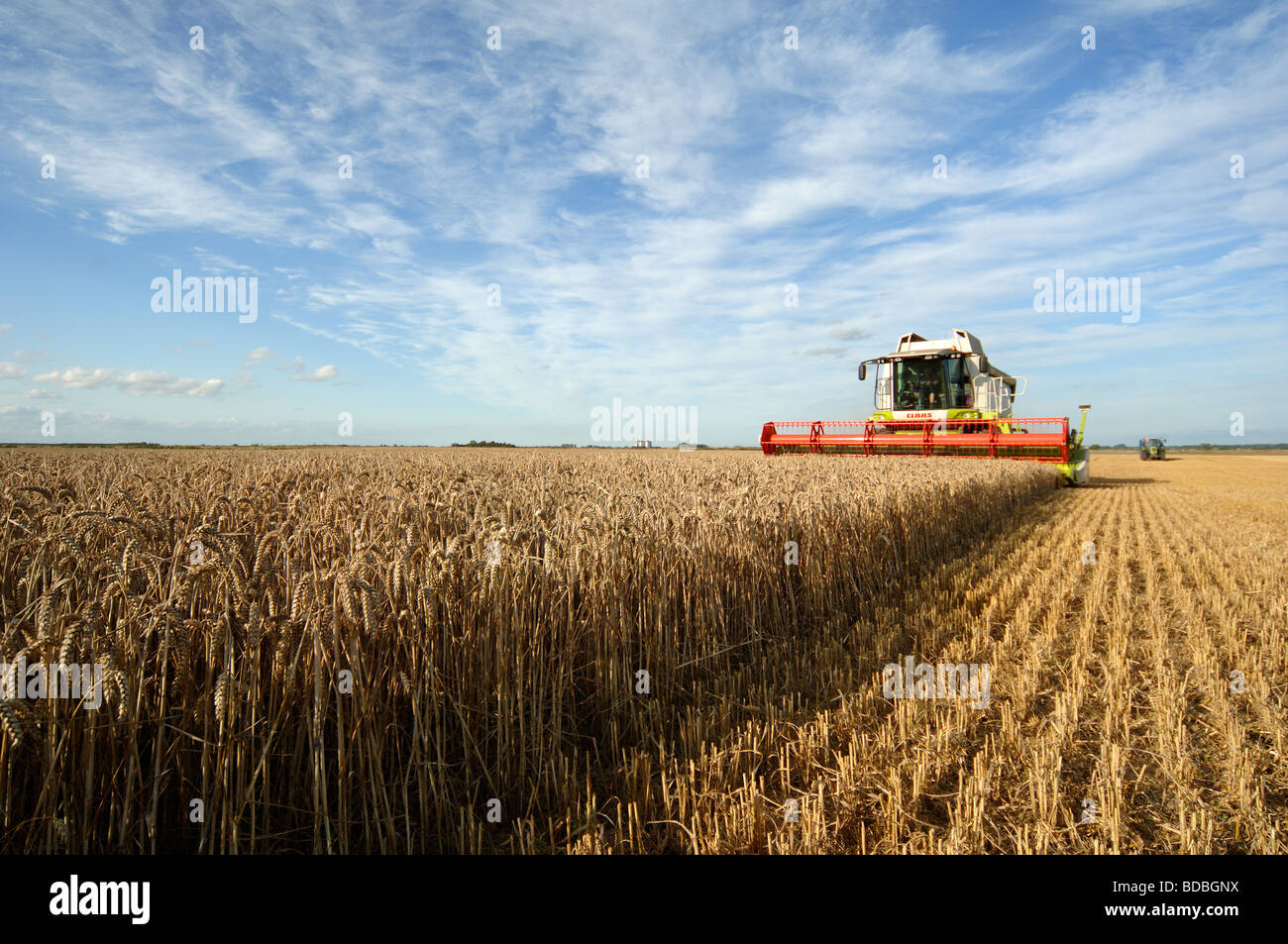 claas-combine-harvesting-wheat-in-west-n