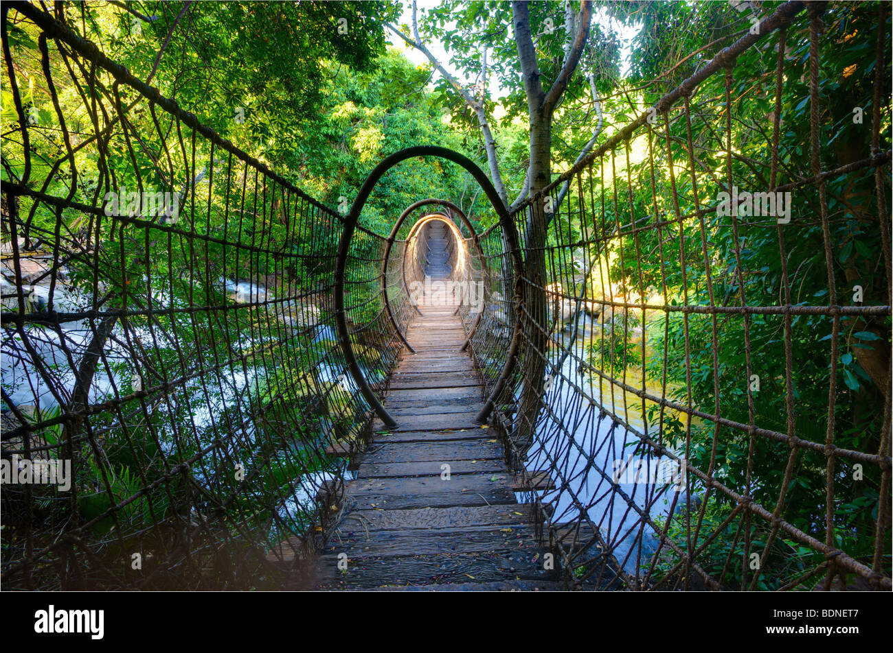 Sway bridge at The Palace of the Lost City, North West Province Stock