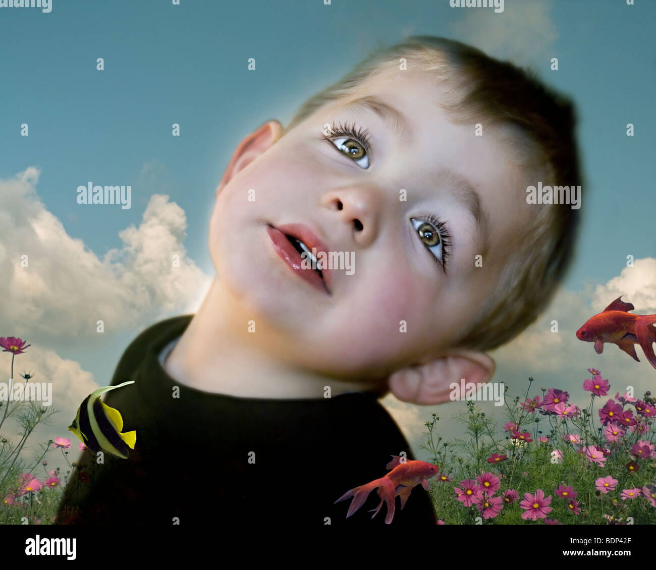 A young boy with a happy expression day dreaming with tropical fish and flowers Stock Photo - a-young-boy-with-a-happy-expression-day-dreaming-with-tropical-fish-BDP42F