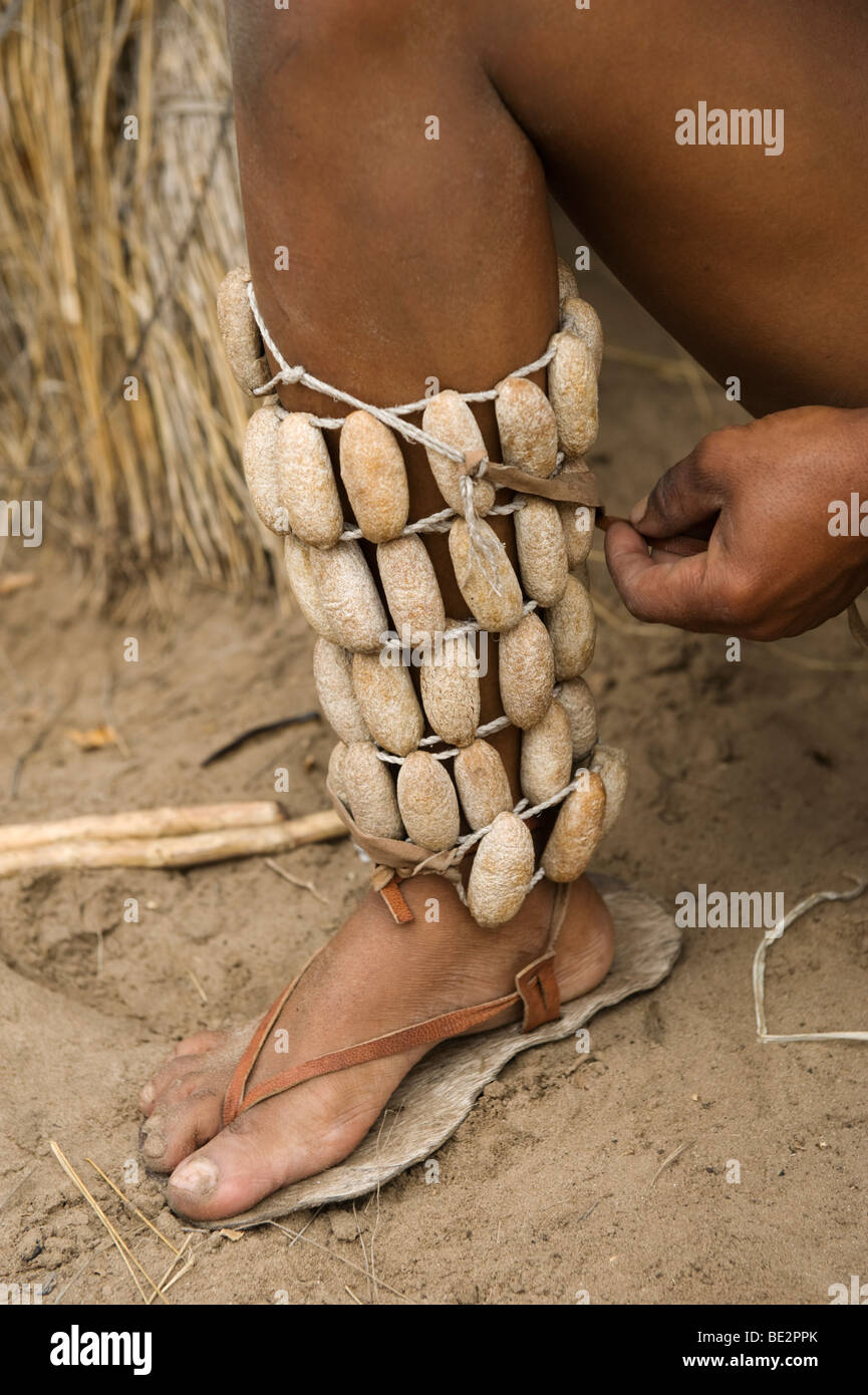 Naro Bushman (san) Tying Rattle Pods Around His Legs For Dancing Stock