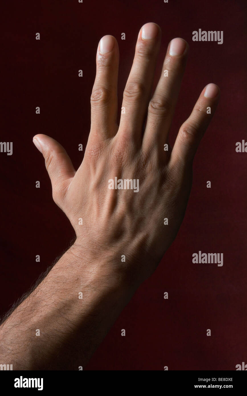 Man's hand Stock Photo, Royalty Free Image 26002102 Alamy