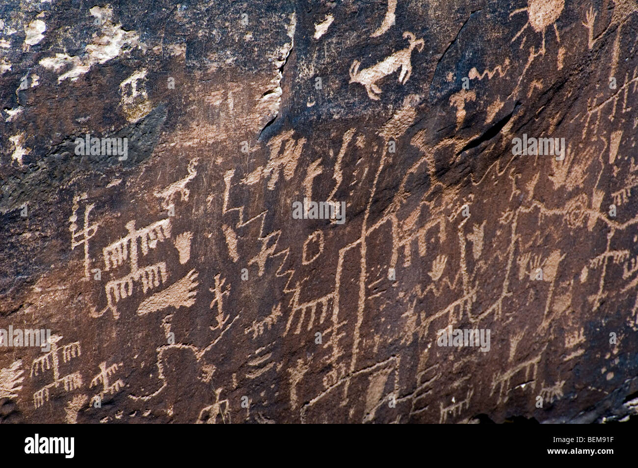 Newspaper Rock showing Anasazi Indian petroglyphs in the Petrified
